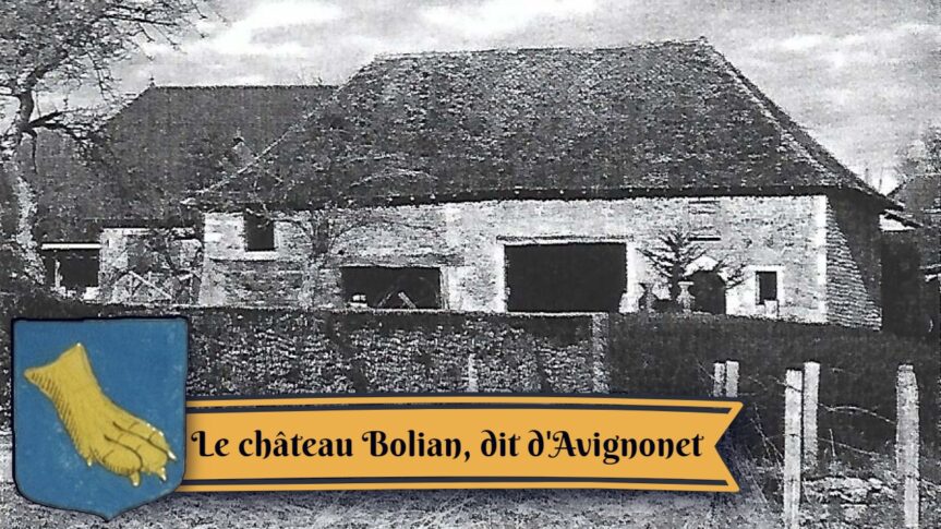 Selon André Lacroix en 1878, une branche de la famille de Bouillanne (Bolian) possédait à Saint-Pierre-de-Paladru un château de son nom