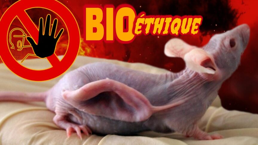 Bioéthique : des animaux chimères producteurs d’organes humains. Le clonage, transgression suprême après le péché originel et le déicide