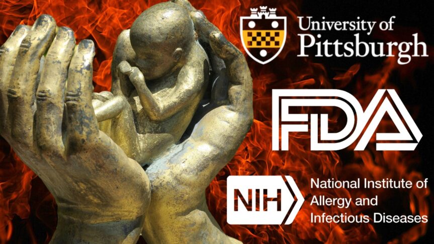 La FDA dénoncée en tant que cartel criminel dans le prélèvement de routine d&rsquo;organes sur des parties de fœtus humains VIVANTS