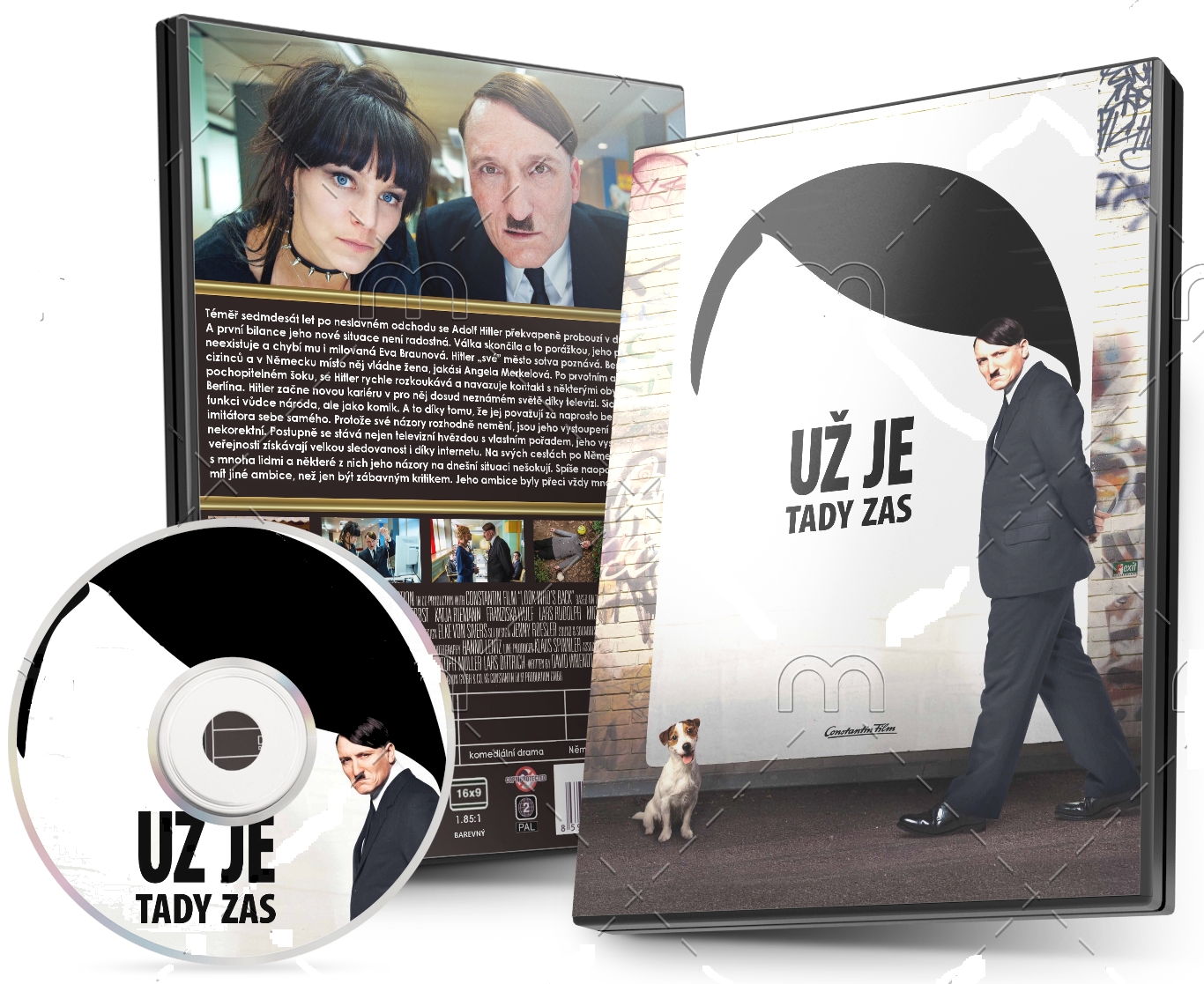 Er ist wieder da (DVD)
